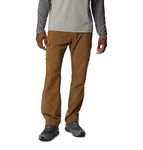 Columbia Men's Silver Ridge Utility Pant, Delta, 36 x 30