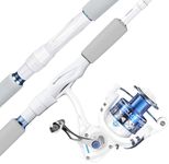 KastKing Centron Lite Spinning Fish