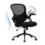 COLAMY Office Chair with Padded 90° Flip-up Armrest, Lumbar Support, Height Adjustable Ergonomic Desk Chair, Executive Swivel Rolling Computer Chair, Comfy Seat Cushion for Home/Office, Black