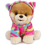 GUND Boo, The World’s Cutest Dog with Rainbow Hoodie Plush Pomeranian Stuffed Animal for Ages 1 and Up, 9”