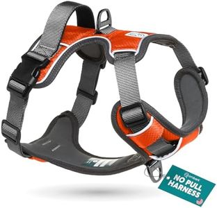 Embark Active Dog Harness, Easy On and Off with Front and Back Leash Attachment Points & Control Handle - No Pull Training, Size Adjustable and No Choke (Large - Orange)