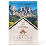 Wellbeing Nutrition Organic Vegan Plant Protein Isolate| 22g Protein, 5g BCAA, 3B CFU Probiotics, Digestive Enzyme, 3g Fiber, Alkalizing Green| NO Bloat, Easy to Digest| French Vanilla Caramel 500gm