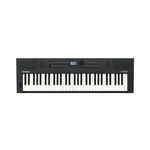 Roland GO:KEYS 5 Music Creation Keyboard | 61-Note Keyboard | ZEN-Core Engine with Over 1000 Onboard Sounds | Built-In Stereo Speakers | Mic Input | Bluetooth Audio/MIDI Support, Graphite