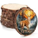 Kurtzy 10 Pack Natural Unfinished Wood Slices - 14-16cm/5.51-6.29 inches Diameter - Wooden Log Circles with Bark & No Hole - For DIY Arts and Crafts, Christmas Ornaments and Wedding Decorations