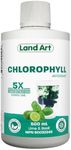 Liquid Chlorophyll Lime Basil 5X Concentrated 500ml – Cold Extracted from Non-GMO Alfalfa - Detox - Alkaline - Natural Body Deodorant – Antioxidant - Made in Canada