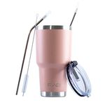 FAB | Vacuum Insulated Tumbler with Lid & Straw 850ml (30oz)| Reusable Stainless Steel Flask for Hot & Cold Drink | Iced Coffee Cup | Travel Mug | BPA Free - Silver Pink