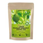 FullChea- Soursop Leaves Tea Bags, 40 Teabags, 1.5g/bag - Premium Soursop Graviola Leaves Tea - Hojas De Guanabana Tea - Non-GMO - Caffeine-free