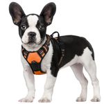 rabbitgoo Dog Harness Small Dog No Pull Pet Harness with 2 Leash Clips, Adjustable Soft Padded Pet Vest Harness, Reflective No-Choke with Easy Control Handle for Training or Walking, Orange, S