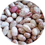 Dried Cranberry Beans (Borlotti Beans) - 1 KG