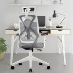 beAAtho Dusk Mesh High Back Office Chair/Study Chair/Computer Chair/Revolving Chair/Desk Chair for Work from Home Adjustable Arm, Lumbar, Height with 3 Years Warranty (White-Grey)