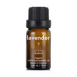 KUHVAI Made in Canada 100% Natural & Organic Lavender Essential Oil, Therapeutic Massage Grade Essential Oil Set Blend for Diffuser Humidifier, Aromatherapy Lavender Oil