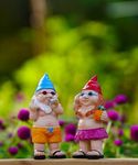 Qeeman Garden Statues Funny Gnome Figurine- Outdoor Ornaments Sculptures for Lawn Patio Yard Art Decorations(2 Pack)