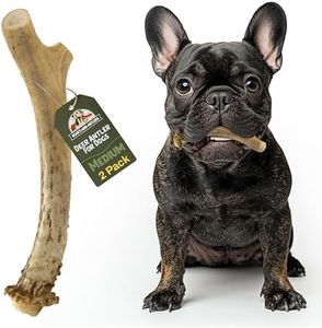 Heartland Deer Antlers for Dogs - Grade A, Naturally Shed Antlers | Dog Bones for Aggressive Chewers & Teething Puppies | Chew Toy for All Breeds | USA Made & Veteran Owned (Medium: 5-6", 2-Pack)