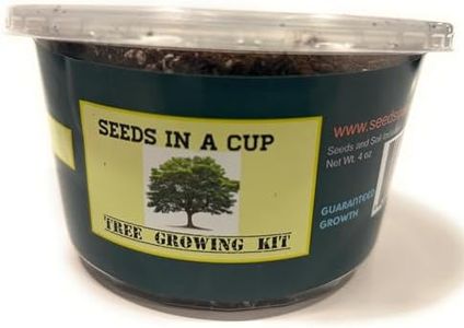 Seeds in A Cup- Tree Growing Kit (Sugar Maple)