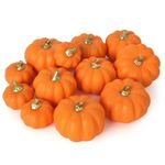 Artmag Artificial Pumpkins 12Pcs Assorted Sizes Bulk Harvest Lifelike Fake Foam Orange Pumpkins Set for Fall Autumn Halloween Party Thanksgiving Holiday Decorations (Orange)