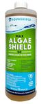 Algaecide For Pools