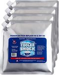 Cooler Shock Ice Packs for Cooler -