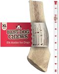 Best Dog Chews Split Elk Antlers for Dogs Large - USA All Natural Long-Lasting Deer Antler Chews - Safe and Durable Dog Antlers for Aggressive Chewers - Ideal Elk Antlers for Medium/Large Dogs