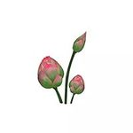 15.4 * 22.9CM Lotus Flower Bud Bath