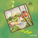 Sare Pravasi Ghadiche: Marathi Audiobook