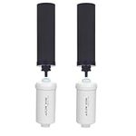 Fachioo Water Filter Replacement for Berkey®, 2 Carbon Filters and 2 Fluoride Filters Compatible with Berkey® Gravity Water Filter System, Pack of 4