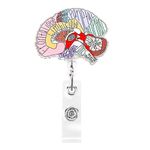 Dimeho Nurse Badge Holder Reels Retractable Nurse Name Tag Clip Anatomy Hand Drawn Flower ID Card Reel Organ Floral Pattern Rotatable Alligator Clip for Badge Holders RN Doctor Nursing Student(Brain)