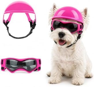 Dog Helmet