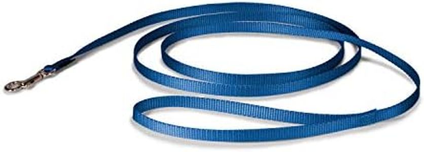 PetSafe Nylon Dog Leash – Strong, Durable, Traditional Style Leash with Easy to Use Bolt Snap for Small, Medium and Large Dogs – 3/8" x 6', Royal Blue