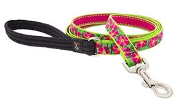 Lupine Dog Leash 6-Foot by 3/4" Wide PetuniasÊ