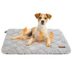 ULIGOTA Self Warming Cat Bed Self Heating Cat Dog Mat Soft & Fluffy Cat Bed Noiseless Thermal Pet Pad for Indoor Outdoor Pets with Removable Cover Non-Slip Bottom (75x48x3cm)