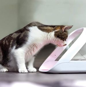 SureFeed Microchip Pet Feeder – Automatic Food Dispenser, White