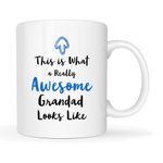 Christmas Gifts Grandad Coffee Mug from Granddaughter Grandson, This is What a Really Awesome Grandad Looks Like Birthday Gifts Idea for Grandad Grandfother Cup White, 11 Oz