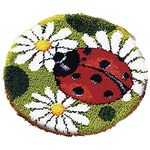 DIY Craft Latch Hook Rug Kits, 19x19 inches Pattern Printed Canvas DIY Carpet Crochet Yarn Kits -Handcraft Cushion Crocheting Hook Set Home Decoration for Family Friends Adults and Kids (Ladybug)