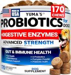 Probiotics for Dogs - 170 Chews - Helps Relieve Diarrhea, Gas & Allergies, Constipation - Dog Probiotics - Digestive & Immune Support - Prebiotics & Digestive Enzymes - Gut Health Chewable Supplement