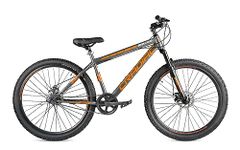 CRADIAC - Squad Single Speed | 29" Inch Unisex Mtb | Dual Disc Brake | Double Wall Alloy Rim | Idea For 15+ Years Girls/Boys/Men, Grey