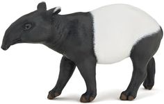 Tapir