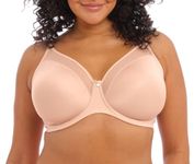 Elomi Women's El4301 Molded Bra, Sahara, 40DD