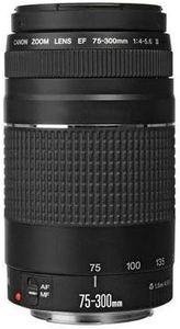 Canon EF 75-300mm f/4-5.6 III Lens with ProOptic 58mm Filter Kit