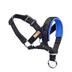 Dog Head Collar, Fabric Padded Head Collar for Dogs to Prevent Pulling, Adjustable Dog Head Harness (S, Blue)