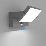 Klighten 24W Wall Light with Motion