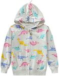 EULLA Toddler Kids Girl Zip Jumper Dinosaur Pattern Hooded Sweatshirt Cute Kids Coat Warm Clothes 2-3 Years