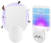 Ten KiKi Flying Insect Trap, Indoor