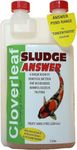 Cloverleaf SA 1L Sludge Answer 1 li