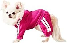 Small Puppy Dog Hoodie Dog Clothes 
