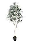 Phimos Artificial Olive Tree Tall F