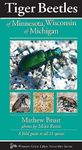 Tiger Beetles of Minnesota, Wisconsin & Michigan