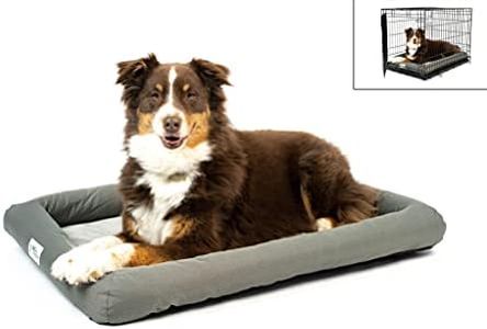 PetFusion 