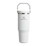Stanley 1913 Flip Straw Tumbler Water Bottle with Straw 0.89L - Keeps Cold for 12+ Hours - Easy to Carry - Dishwasher Safe - Stainless Steel Thermal Flask - BPA-Free Travel Mug - Frost