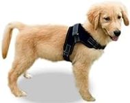 Copatchy Dog Harness Small Sized Do