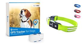 Tractive GPS Dog Tracker + LED Collar. Live Location With Unlimited Range (Green, S)